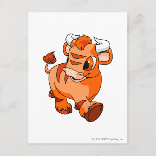 Carte Postale Kau Orange