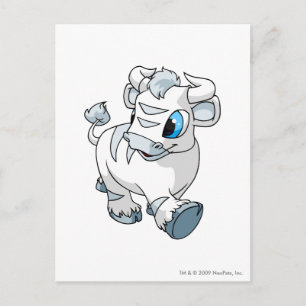 Carte Postale Kau White