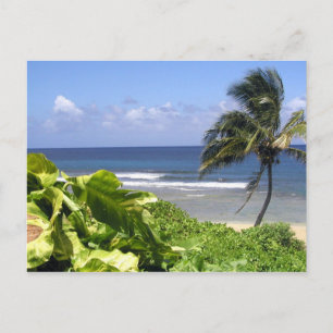 Carte Postale Kauai