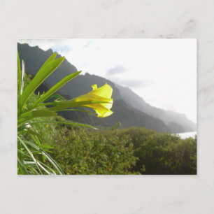 Carte postale Kauai