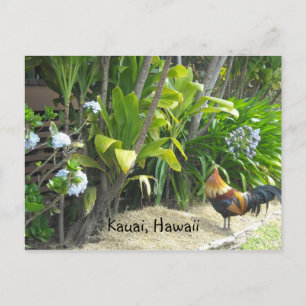 Carte Postale Kauai, Hawaï