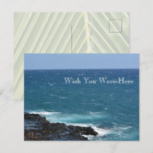 Carte Postale Kauai Hawaii Ocean Spouding Horn