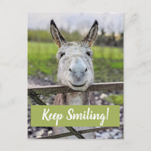 Carte postale "Keep Smiling" pour âne souriant