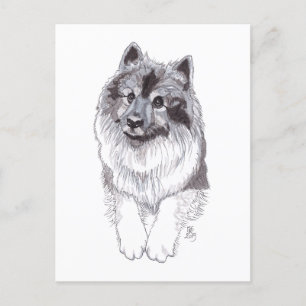 Carte postale Keeshond 2019