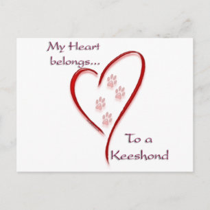 Carte Postale Keeshond Heart Belongs
