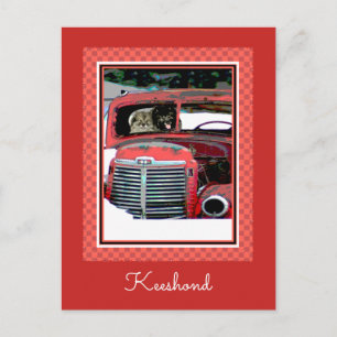 Carte Postale Keeshond Noël Vieux Camion Peinture Chien Art