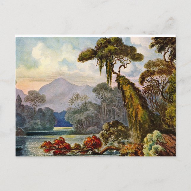 Carte Postale Kelany Ganga Ernst Haeckel Peinture 1882 (Devant)