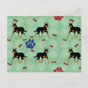 Carte Postale Kelpie australienne