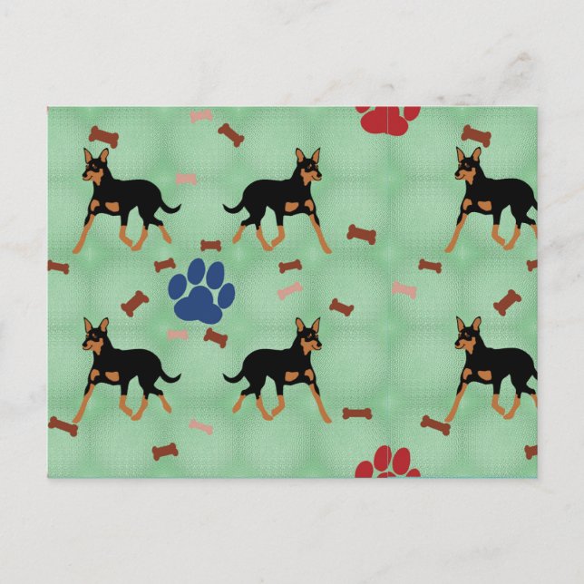 Carte Postale Kelpie australienne (Devant)