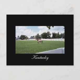 Carte postale Kentucky