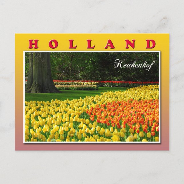 Carte Postale Keukenhof, Lisse, Pays-Bas (Devant)