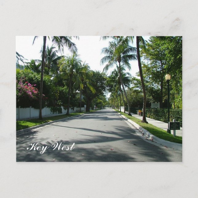 Carte Postale Key West (Devant)