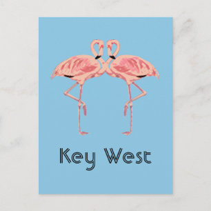 Carte Postale Key West Florida Flamant rose rose Couple