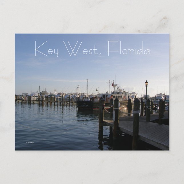 Carte Postale Key West, Floride (Devant)