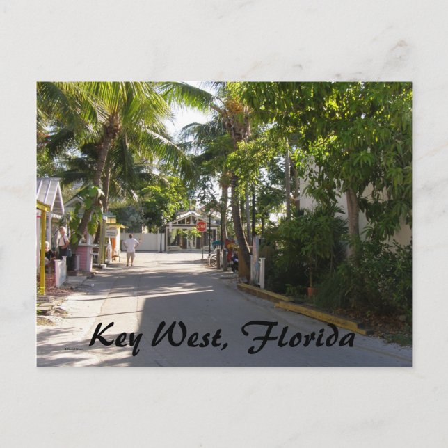 Carte Postale Key West, Floride (Devant)