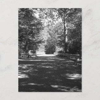 Carte postale Kickapoo State Park Bridge