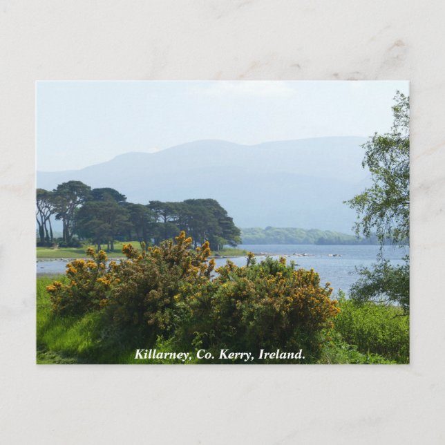 Carte Postale Killarney lakeside, comté de Kerry, Irlande (Devant)