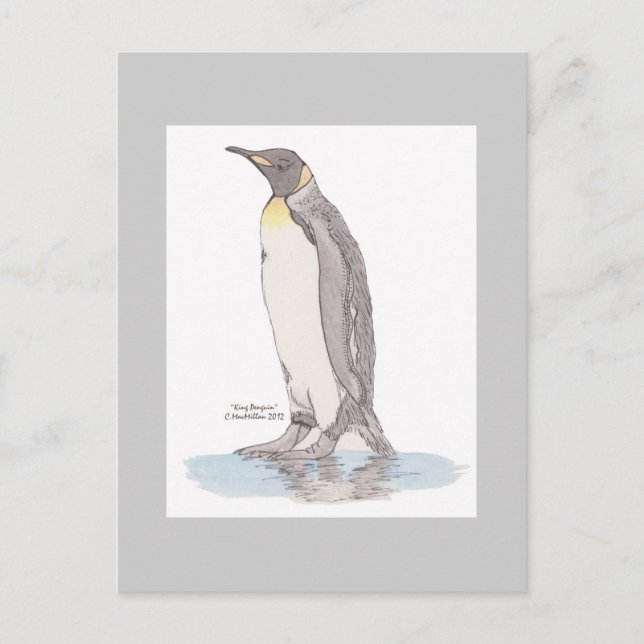 Carte postale King Penguin (Devant)