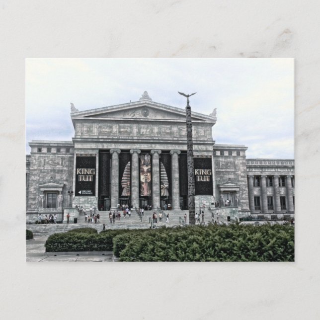 Carte postale KING TUT Field Museum (Devant)