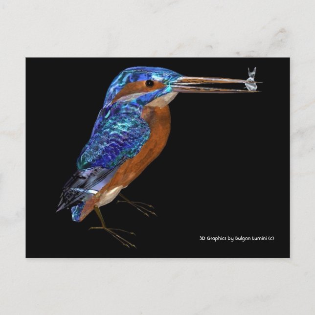 CARTE POSTALE KINGFISHER (Devant)