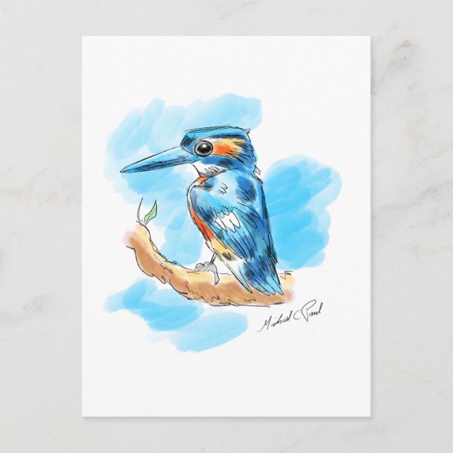 Carte Postale Kingfisher (Devant)