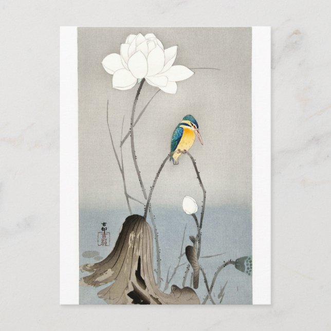 Carte Postale Kingfisher avec Fleur Lotus - Ohara Koson - blanc (Devant)