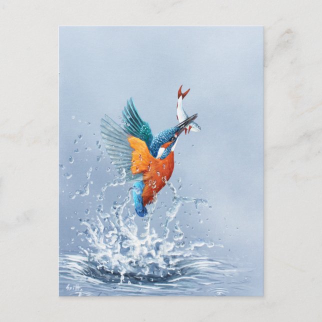 Carte Postale Kingfisher qui sort de l'eau (Devant)