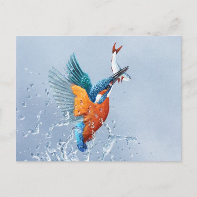 Carte Postale Kingfisher qui sort de l'eau (Devant)