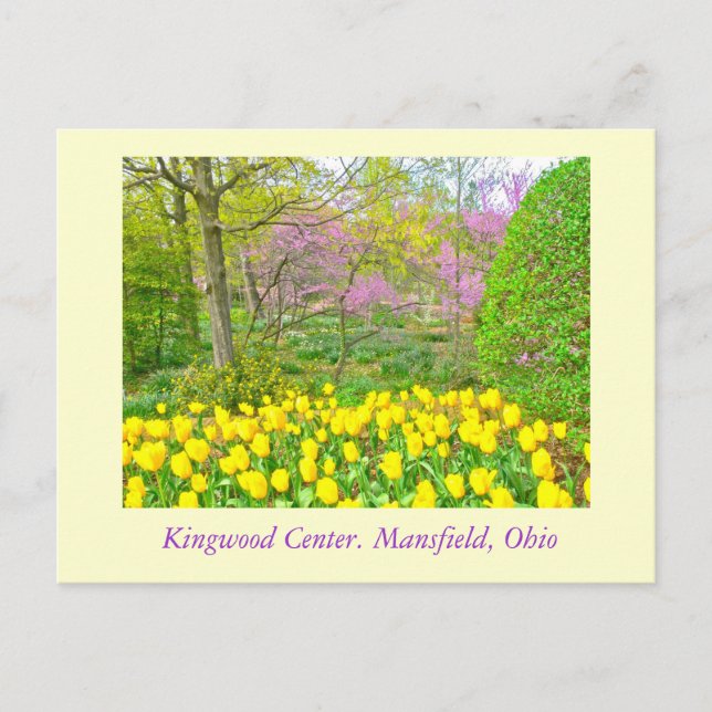 CARTE POSTALE, "KINGWOOD CENTER GARDENS" (Devant)