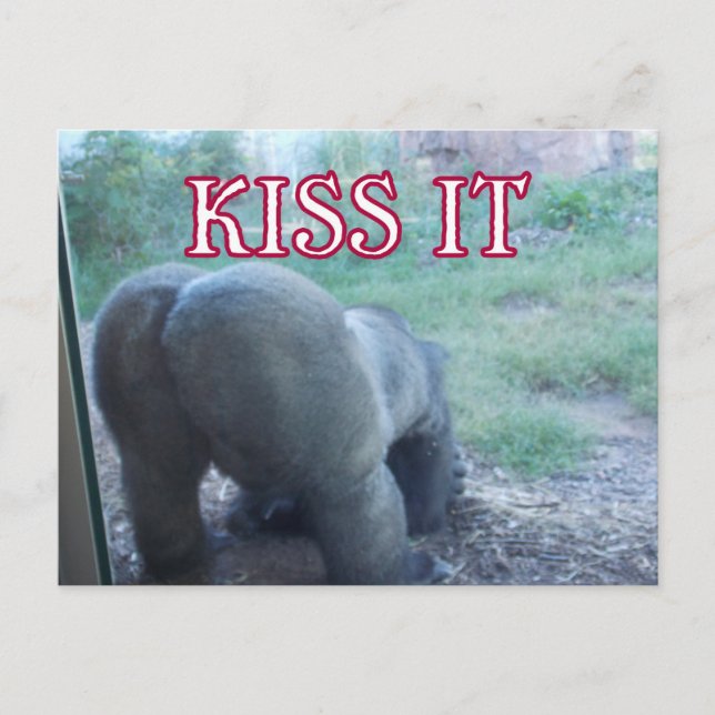 Carte postale Kiss (Devant)