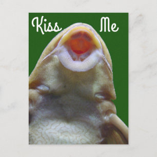 Carte Postale Kiss Me Fish