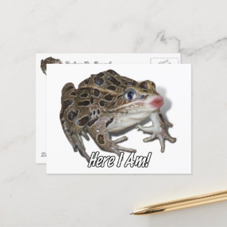 Carte Postale Kissing Frog - Pucker Up, Chéri!