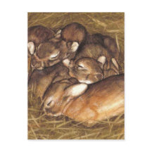 kits de lapins bébés dans l'art du nid