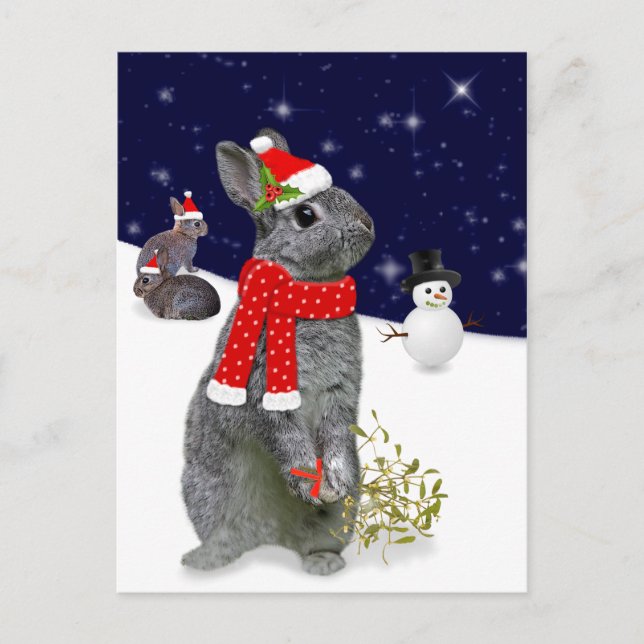 Carte postale Kits de Noël (Devant)