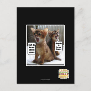 Carte Postale Kitteh carols