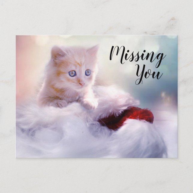 Carte Postale Kitten (Devant)