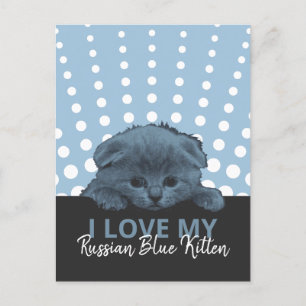 Carte Postale Kitten bleu russe