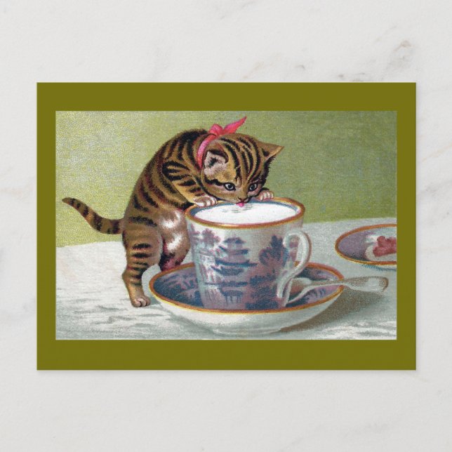 Carte Postale Kitten Boire de Teacup Victorian (Devant)