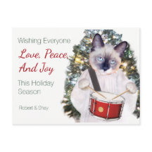 Carte postale Kitten Carol Christmas