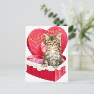 Carte Postale Kitten dans Candy Box