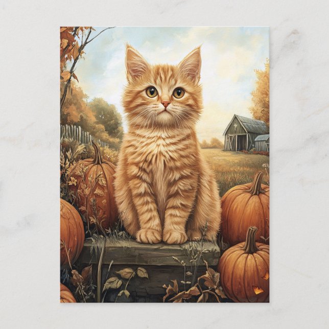 Carte Postale Kitten d'automne avec Citrouille (Devant)