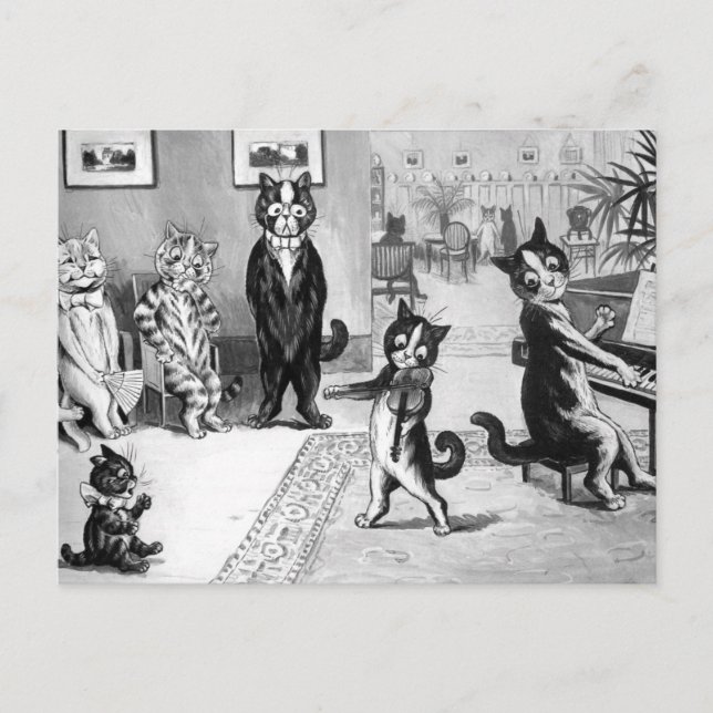 Carte Postale Kitten Donnant un considérant (Devant)