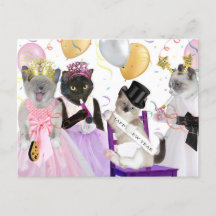 Carte postale Kitten du Nouvel An