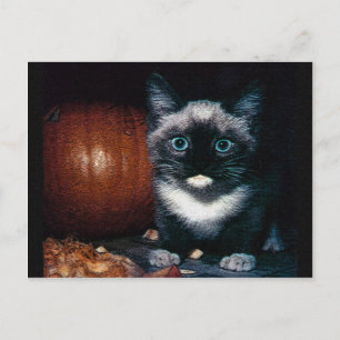 Carte Postale Kitten et Citrouille pour Halloween
