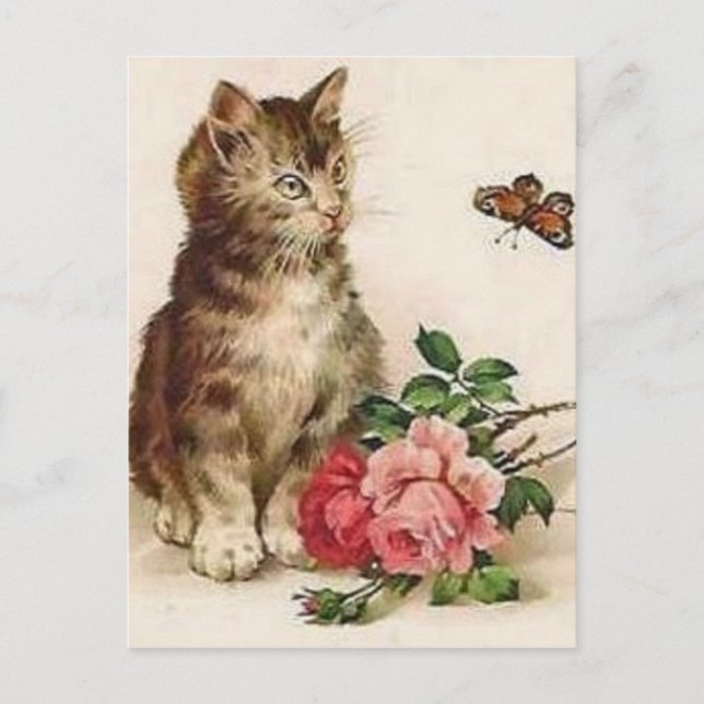 Carte Postale Kitten et papillon (Devant)