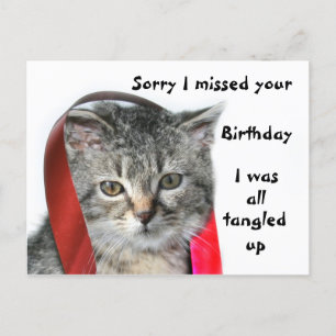Carte Postale Kitten fin anniversaire