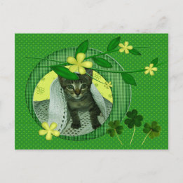 Carte Postale Kitten, Fleurs, Shamrock & Pois verts