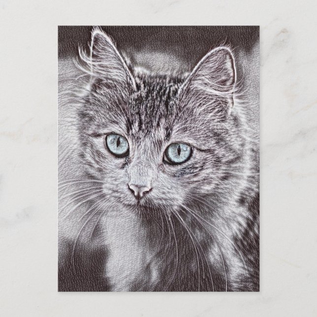 Carte Postale Kitten Love Cute Kitty Chat aux Yeux Bleus Lumineu (Devant)
