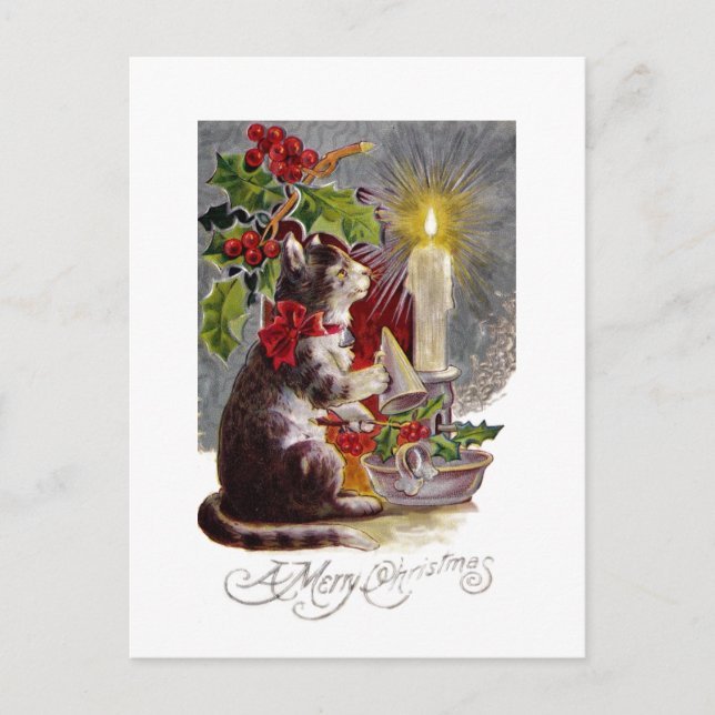 Carte Postale Kitten Sortir une bougie (Devant)