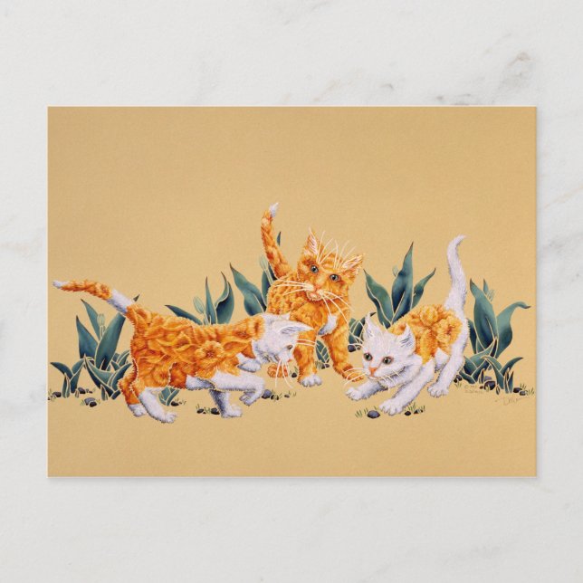 Carte Postale Kitten Spring (Devant)
